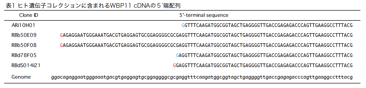 HP00169-表1