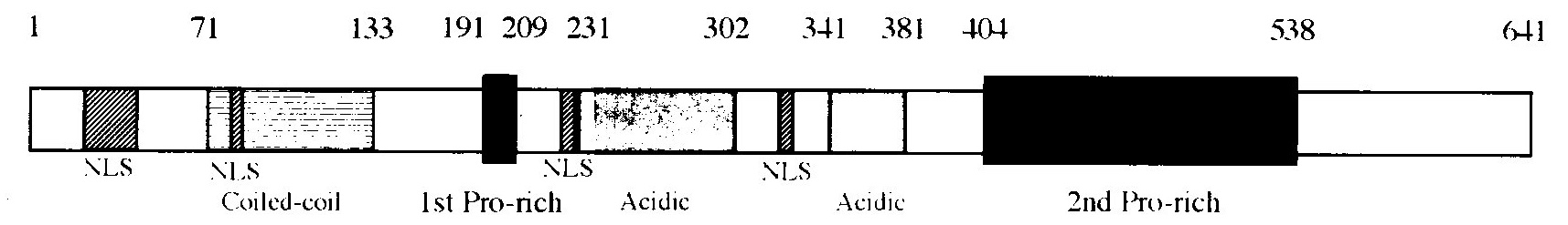 NPWBP-structure
