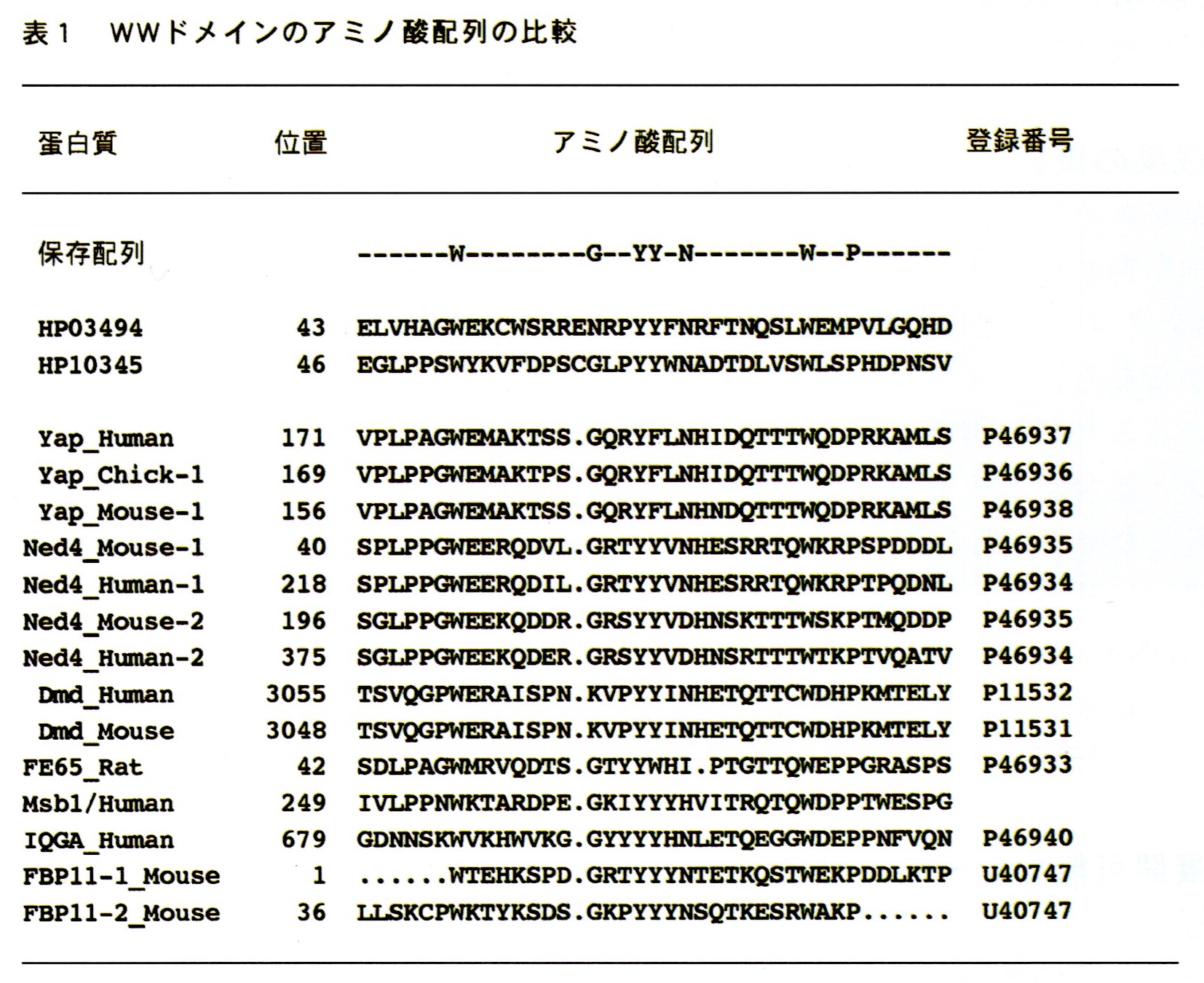 WW-domain