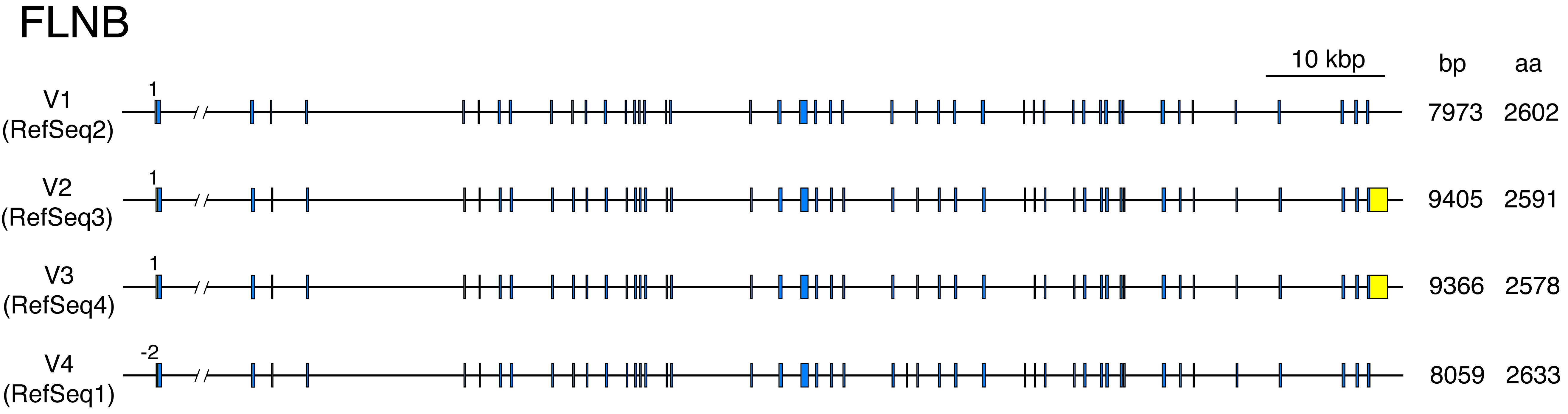Fig5_FLNB