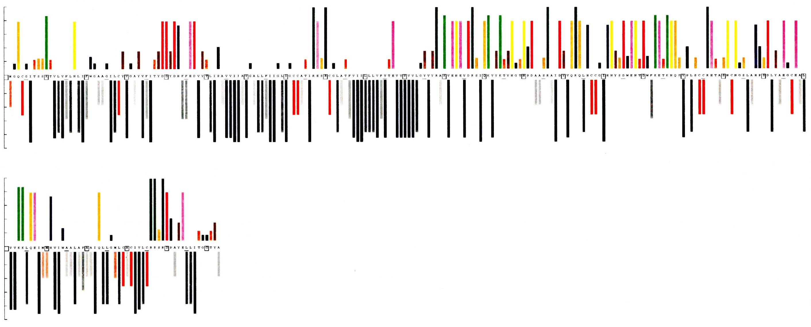 TSPAN3-proteogram