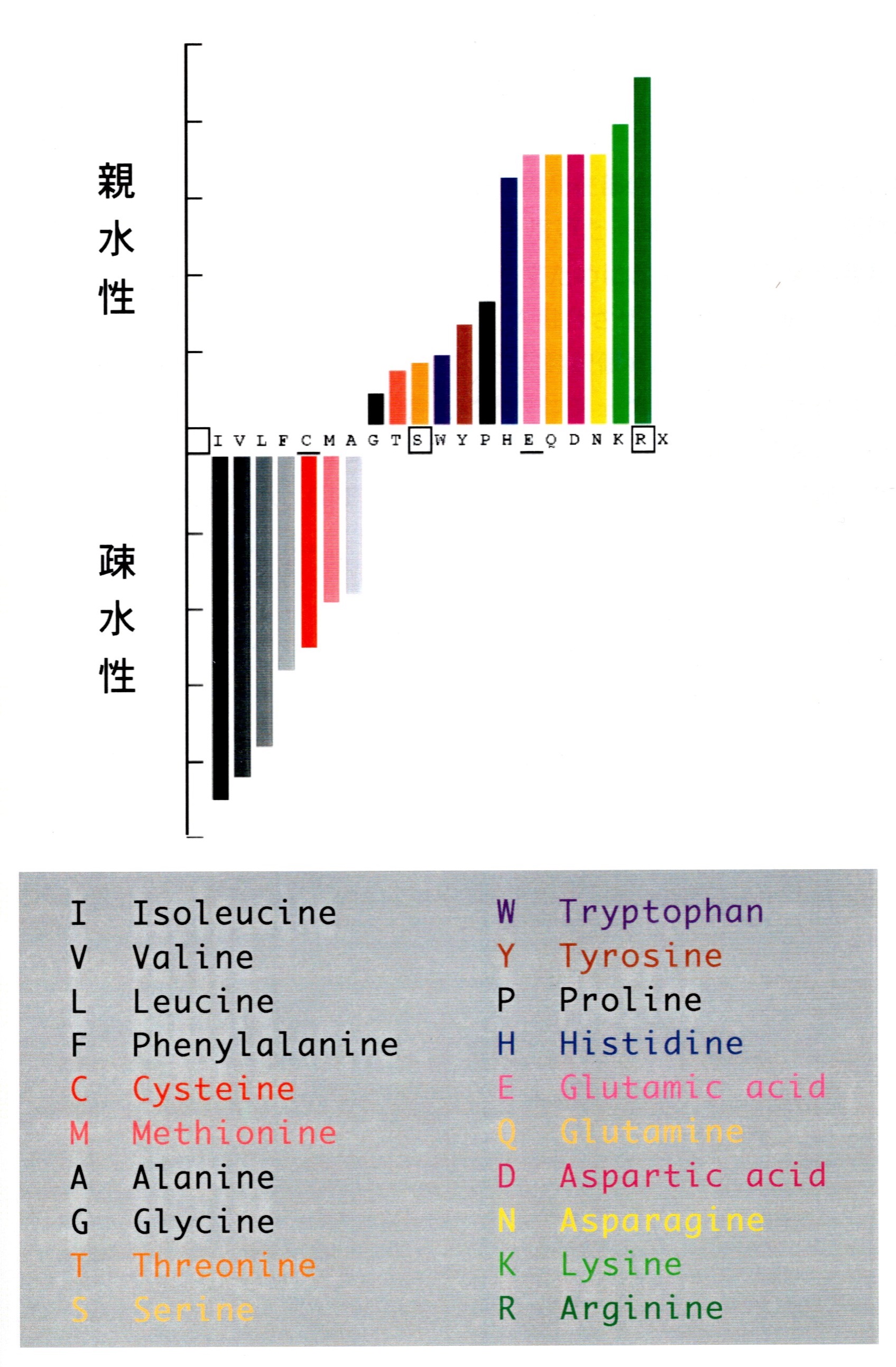 proteogram-aa-scale