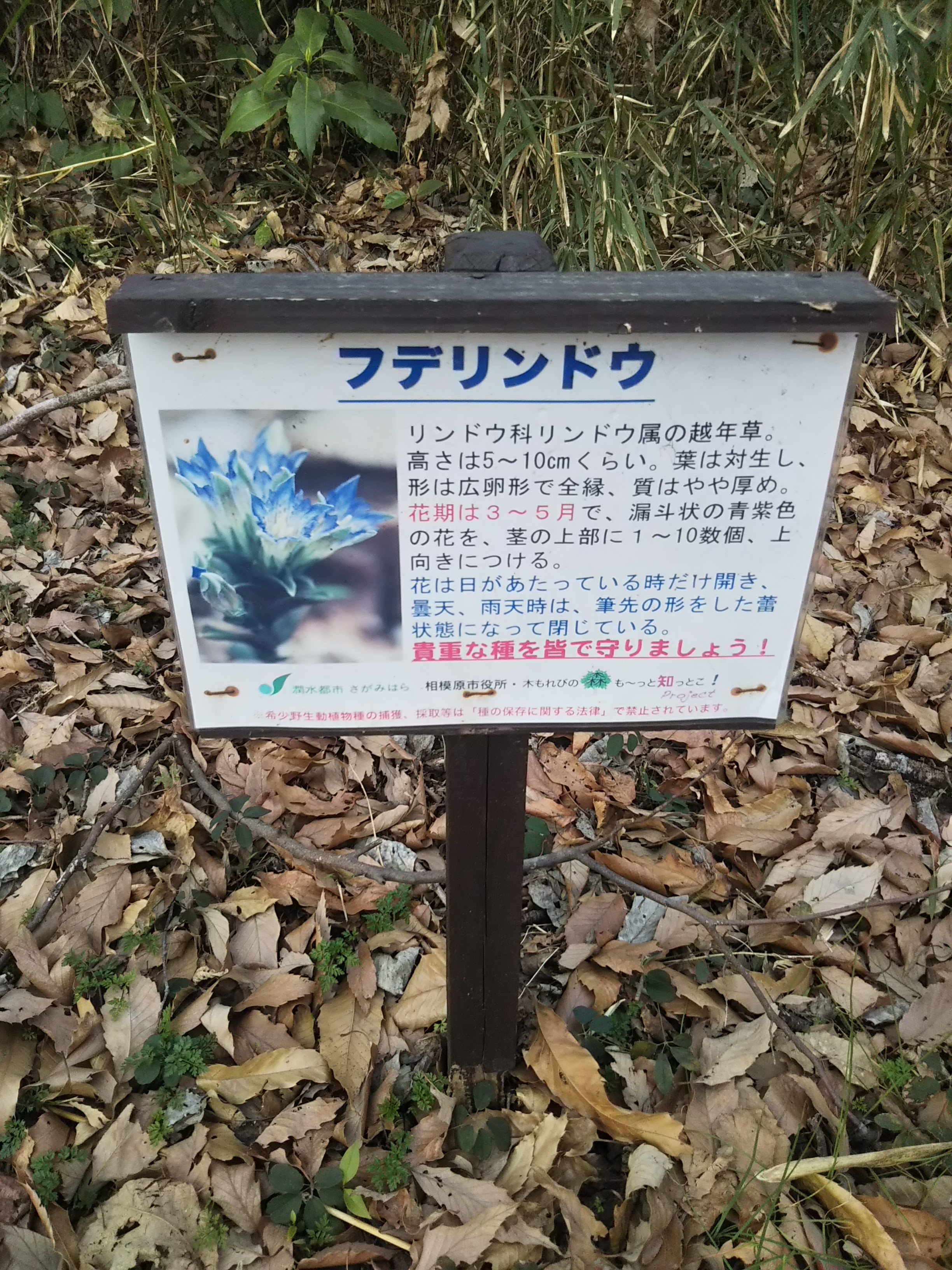 看板