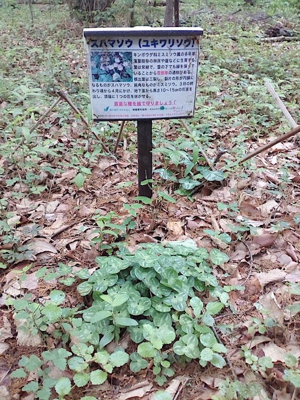 看板発見