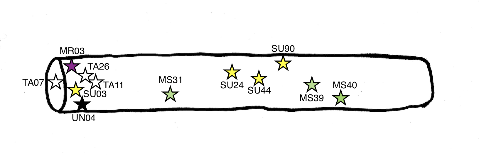 東大沼E02伐採木